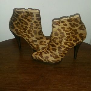 Steve Madden leopard print bootie